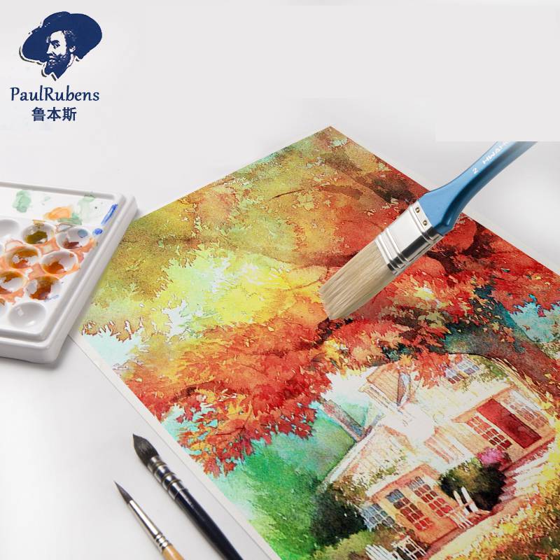 Paul Rubens 전문 수채화 용지 50% 면 30 - Photography Fine Art 리뷰 및 가격